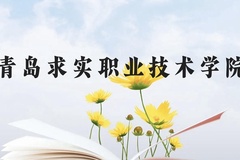 青岛求实职业技术学院近三年在云南录取分数线(含2021-2023最低分)