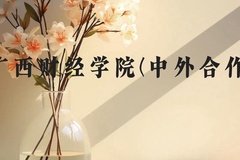 广西财经学院(中外合作)近三年在云南录取分数线(含2021-2023最低分)