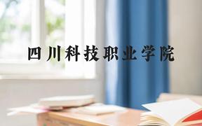 四川科技职业学院近三年在广西录取分数线(含2021-2023最低分)