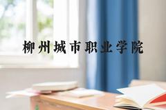 柳州城市职业学院近三年在贵州录取分数线(含2021-2023最低分)