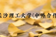 长沙理工大学(中外合作)近三年在贵州录取分数线(含2021-2023最低分)
