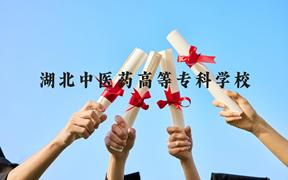 湖北中医药高等专科学校近三年在广西录取分数线(含2021-2023最低分)