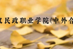 武汉民政职业学院(中外合作)近三年在云南录取分数线(含2021-2023最低分)