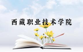 西藏职业技术学院近三年在广西录取分数线(含2021-2023最低分)