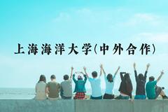 上海海洋大学(中外合作)近三年在云南录取分数线(含2021-2023最低分)