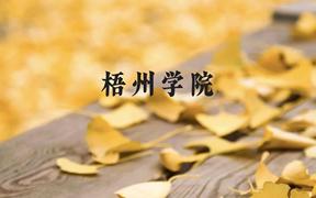 梧州学院近三年在广西录取分数线(含2021-2023最低分)