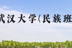 武汉大学(民族班)近三年在贵州录取分数线(含2021-2023最低分)