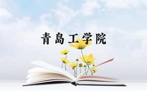 青岛工学院近三年在广西录取分数线(含2021-2023最低分)