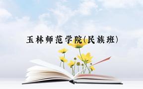 玉林师范学院(民族班)近三年在广西录取分数线(含2021-2023最低分)