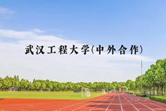 武汉工程大学(中外合作)近三年在贵州录取分数线(含2021-2023最低分)