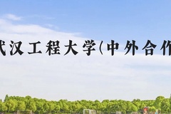 武汉工程大学(中外合作)近三年在贵州录取分数线(含2021-2023最低分)