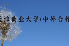 天津商业大学(中外合作)近三年在云南录取分数线(含2021-2023最低分)