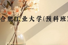 合肥工业大学(预科班)近三年在贵州录取分数线(含2021-2023最低分)