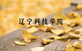 辽宁科技学院近三年在广西录取分数线(含2021-2023最低分)