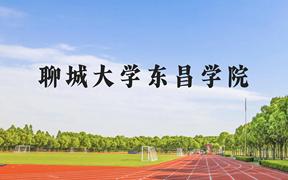 聊城大学东昌学院近三年在广西录取分数线(含2021-2023最低分)