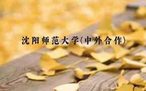 沈阳师范大学(中外合作)近三年在广西录取分数线(含2021-2023最低分)