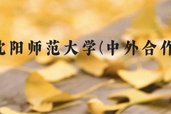 沈阳师范大学(中外合作)近三年在广西录取分数线(含2021-2023最低分)