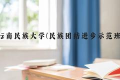 云南民族大学(民族团结进步示范班)近三年在云南录取分数线(含2021-2023最低分)