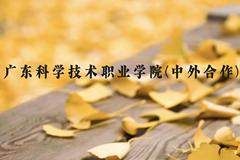 广东科学技术职业学院(中外合作)近三年在云南录取分数线(含2021-2023最低分)