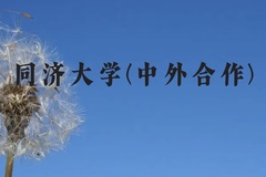 同济大学(中外合作)近三年在云南录取分数线(含2021-2023最低分)