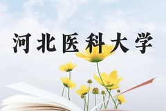 河北医科大学近三年在广西录取分数线(含2021-2023最低分)