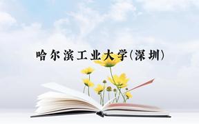 哈尔滨工业大学(深圳)近三年在广西录取分数线(含2021-2023最低分)