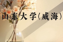 山东大学(威海)近三年在广西录取分数线(含2021-2023最低分)