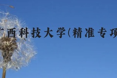 广西科技大学(精准专项)近三年在广西录取分数线(含2021-2023最低分)