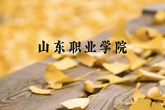 山东职业学院近三年在云南录取分数线(含2021-2023最低分)