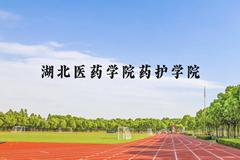 湖北医药学院药护学院近三年在贵州录取分数线(含2021-2023最低分)