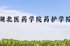 湖北医药学院药护学院近三年在贵州录取分数线(含2021-2023最低分)