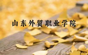 山东外贸职业学院近三年在广西录取分数线(含2021-2023最低分)