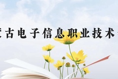 内蒙古电子信息职业技术学院近三年在贵州录取分数线(含2021-2023最低分)
