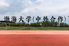 渤海大学(中外合作)近三年在贵州录取分数线(含2021-2023最低分)