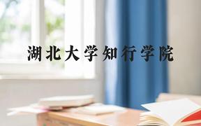 湖北大学知行学院近三年在广西录取分数线(含2021-2023最低分)