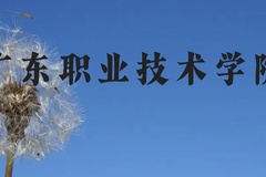 广东职业技术学院近三年在云南录取分数线(含2021-2023最低分)