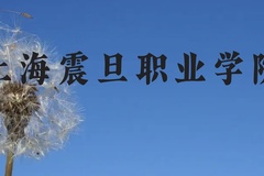 上海震旦职业学院近三年在云南录取分数线(含2021-2023最低分)