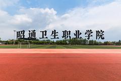 昭通卫生职业学院近三年在广西录取分数线(含2021-2023最低分)