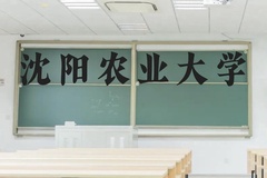 沈阳农业大学近三年在贵州录取分数线(含2021-2023最低分)
