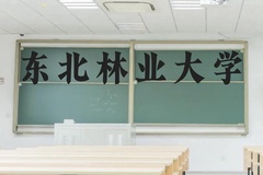 东北林业大学近三年在云南录取分数线(含2021-2023最低分)
