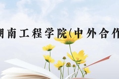 湖南工程学院(中外合作)近三年在云南录取分数线(含2021-2023最低分)