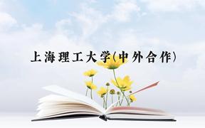 上海理工大学(中外合作)近三年在贵州录取分数线(含2021-2023最低分)