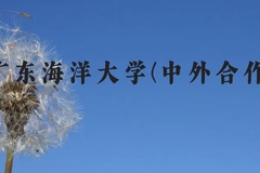 广东海洋大学(中外合作)近三年在云南录取分数线(含2021-2023最低分)