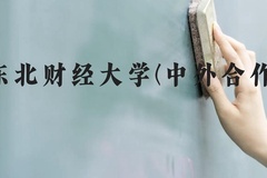 东北财经大学(中外合作)近三年在云南录取分数线(含2021-2023最低分)