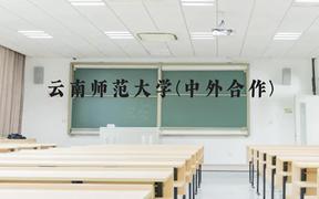 云南师范大学(中外合作)近三年在广西录取分数线(含2021-2023最低分)