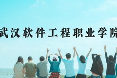 武汉软件工程职业学院近三年在云南录取分数线(含2021-2023最低分)