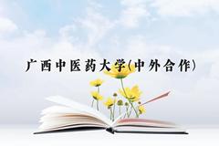 广西中医药大学(中外合作)近三年在贵州录取分数线(含2021-2023最低分)