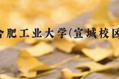 合肥工业大学(宣城校区)近三年在云南录取分数线(含2021-2023最低分)