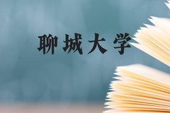 聊城大学近三年在云南录取分数线(含2021-2023最低分)