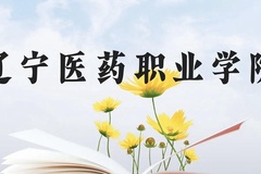 辽宁医药职业学院近三年在贵州录取分数线(含2021-2023最低分)